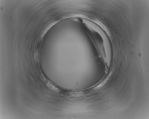 X0000075841001200610151540