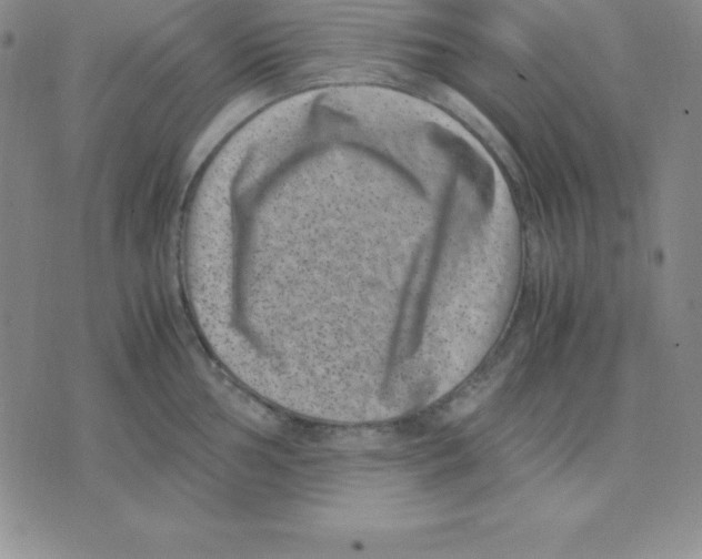 X0000075841002200610151540