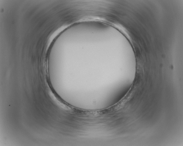 X0000075841003200610151540