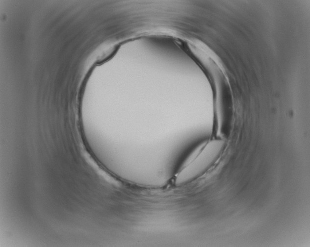 X0000075841005200610151540