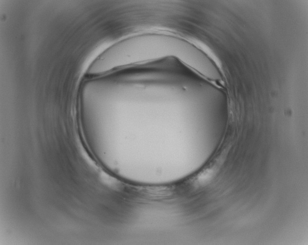 X0000075841007200610151540