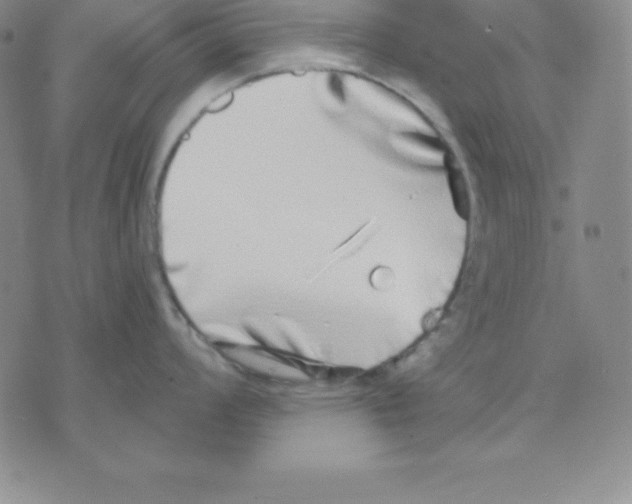 X0000075841008200610151540