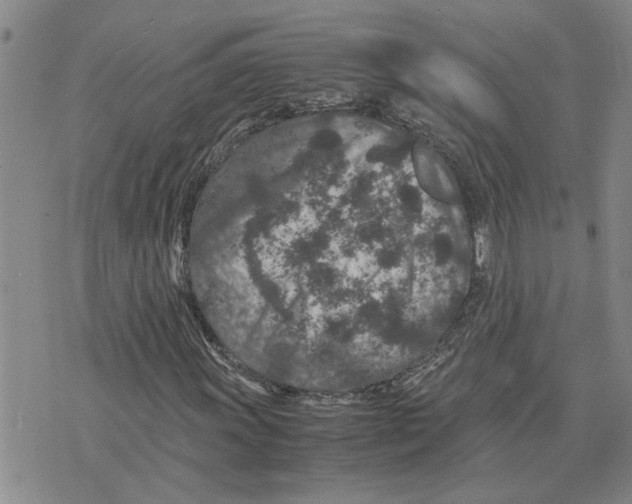 X0000075841011200610151539