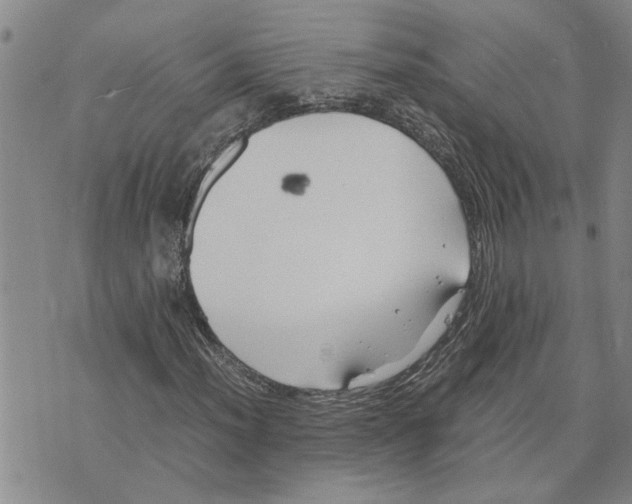 X0000075841012200610151539