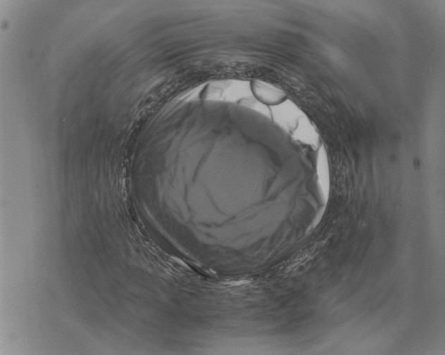 X0000075841013200610151539