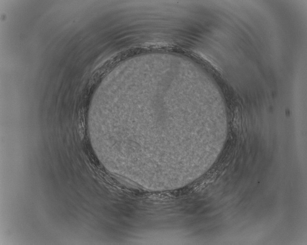 X0000075841015200610151539