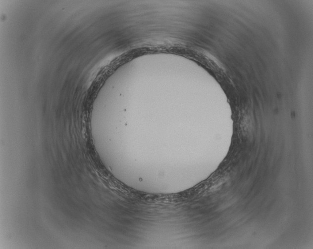 X0000075841016200610151539