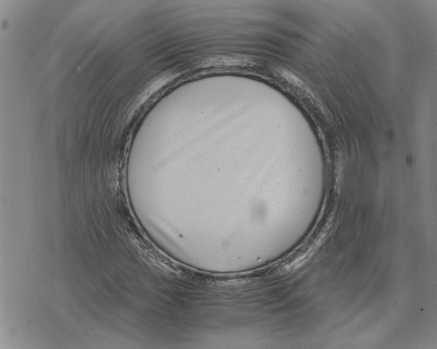 X0000075841017200610151539