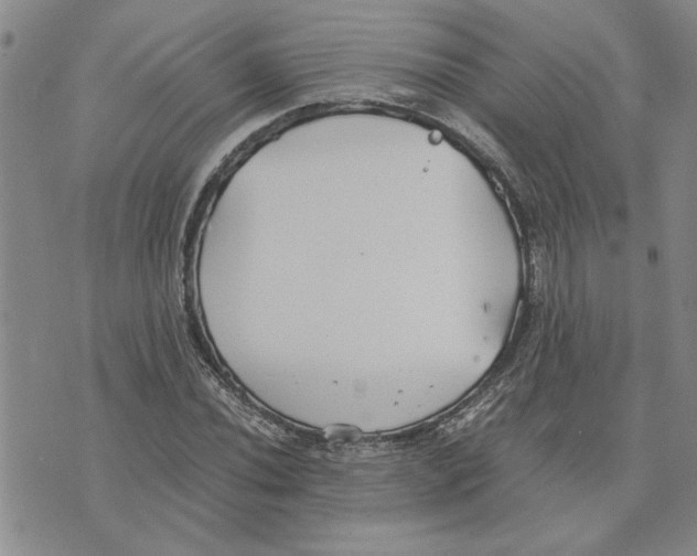 X0000075841020200610151540