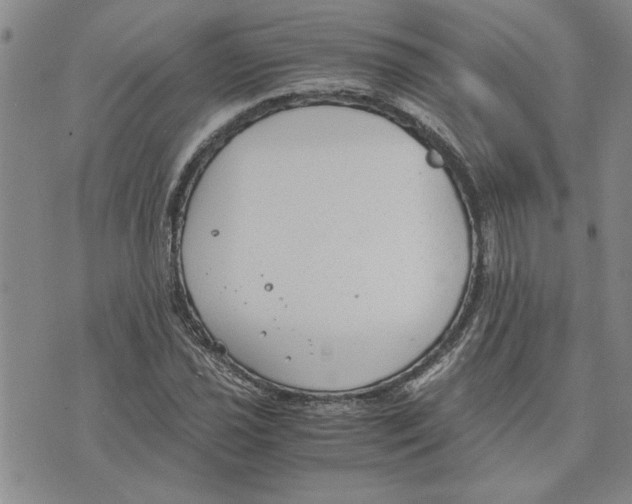 X0000075841021200610151540