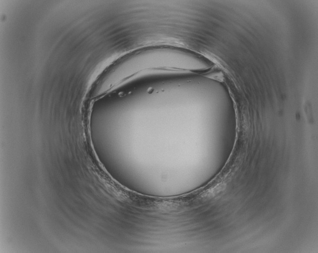 X0000075841022200610151540