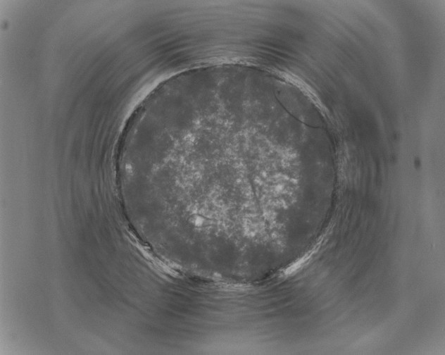 X0000075841023200610151540