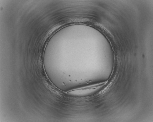 X0000075841025200610151540