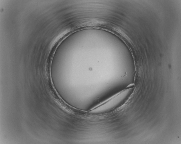 X0000075841026200610151540