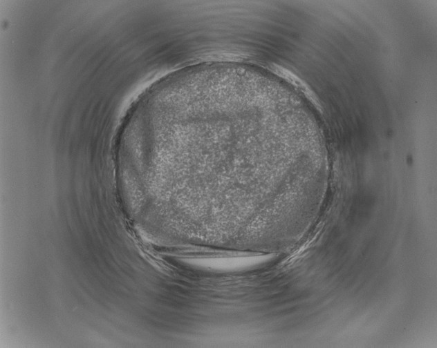 X0000075841027200610151540