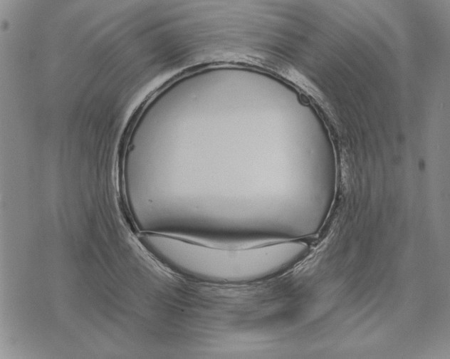 X0000075841028200610151540