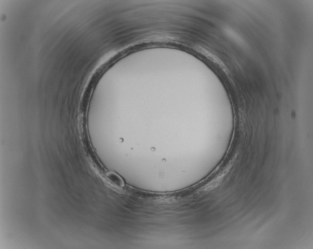 X0000075841029200610151540