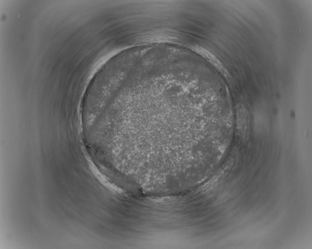 X0000075841031200610151540