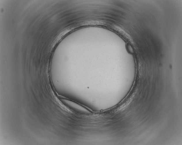 X0000075841033200610151540