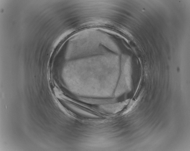 X0000075841034200610151540