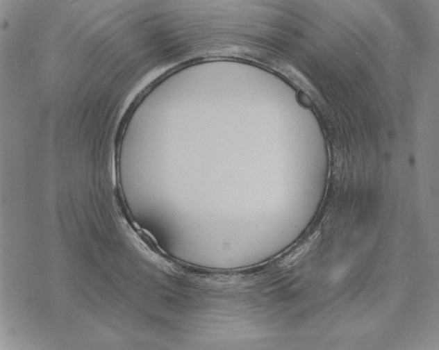 X0000075841036200610151540