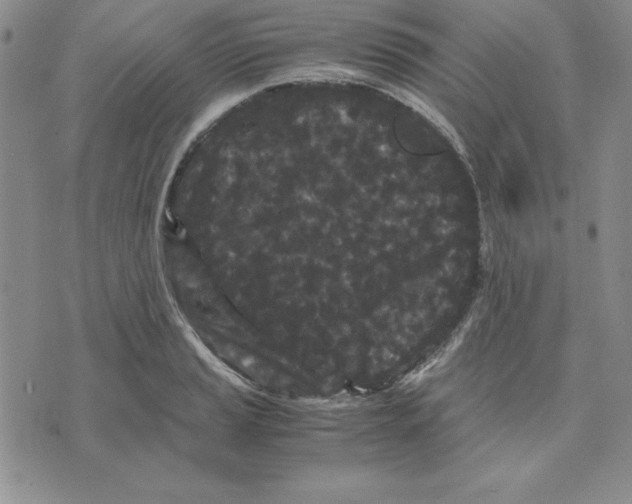 X0000075841037200610151540