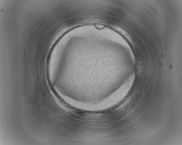 X0000075841039200610151540