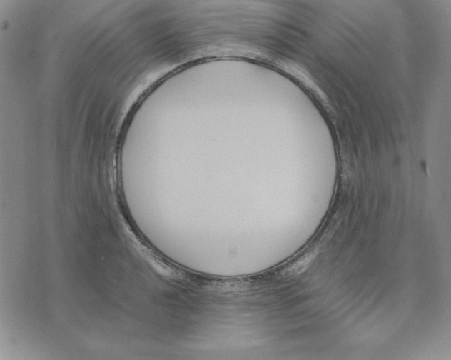 X0000075841040200610151540