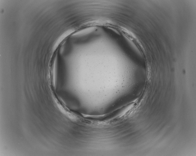 X0000075841042200610151540