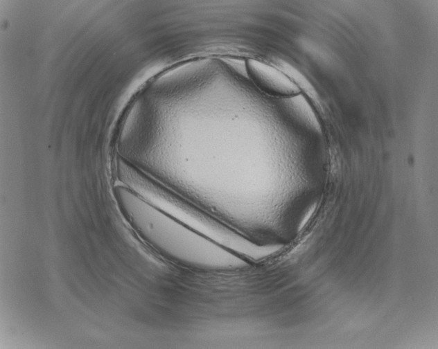 X0000075841043200610151540