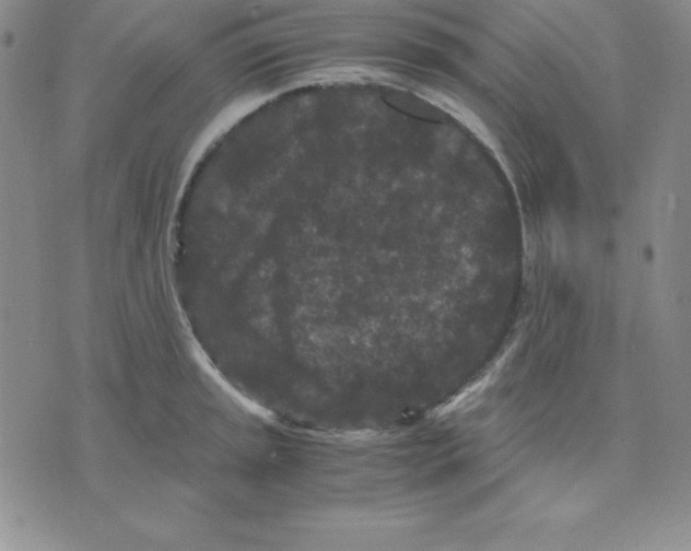 X0000075841045200610151540