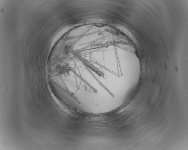 X0000075841047200610151540