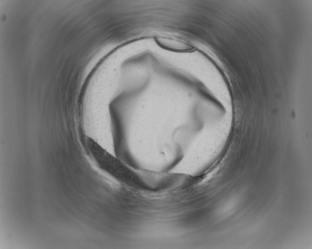 X0000075841048200610151540