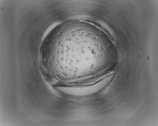 X0000075841050200610151540