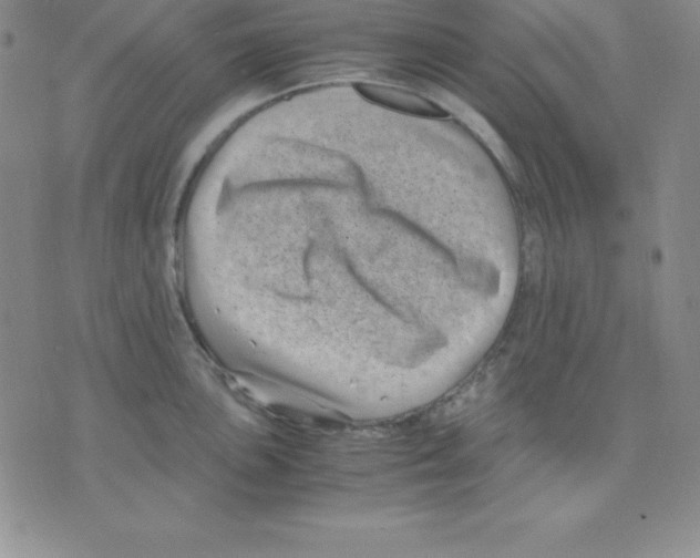 X0000075841051200610151540