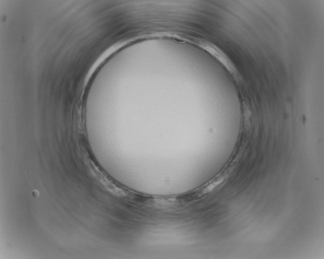 X0000075841052200610151540