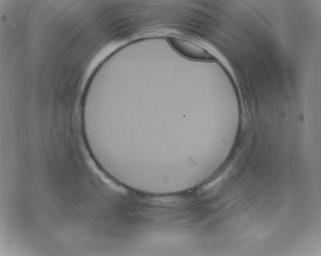 X0000075841053200610151540