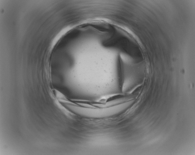 X0000075841054200610151540