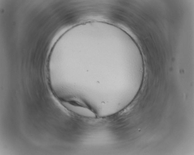 X0000075841056200610151540