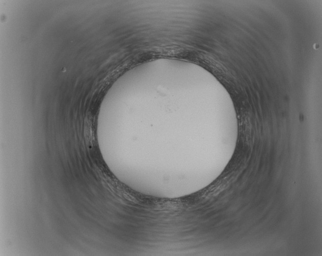 X0000075841058200610151539