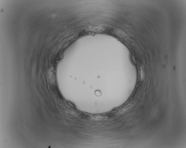 X0000075841059200610151539