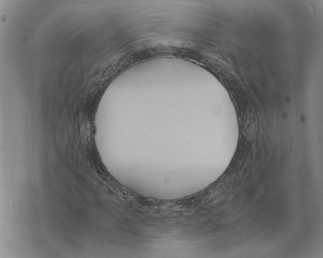 X0000075841061200610151539