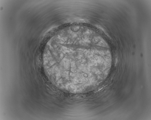 X0000075841063200610151539