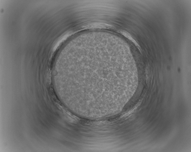 X0000075841067200610151539