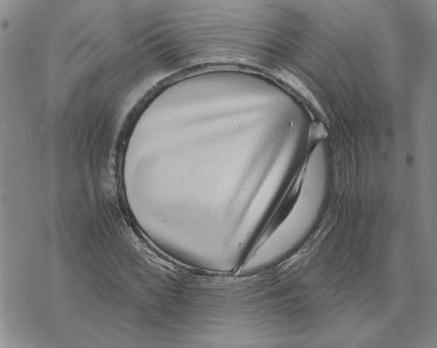 X0000075841068200610151539