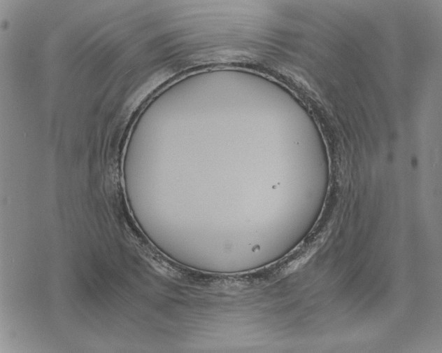 X0000075841073200610151539