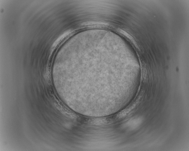 X0000075841074200610151539