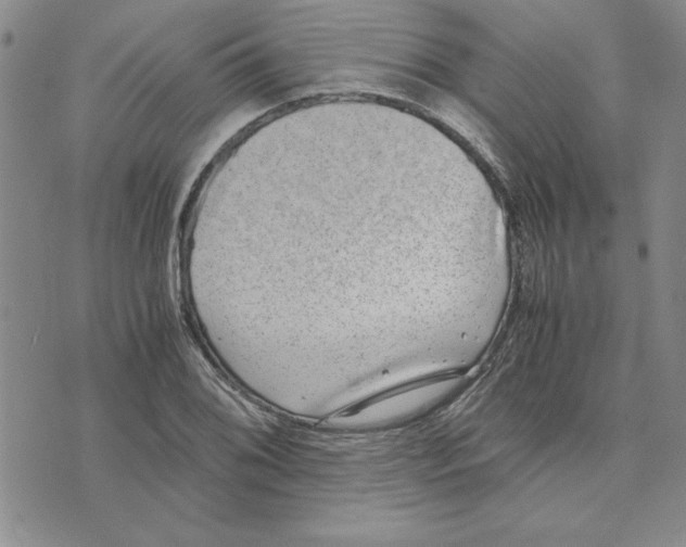 X0000075841076200610151539