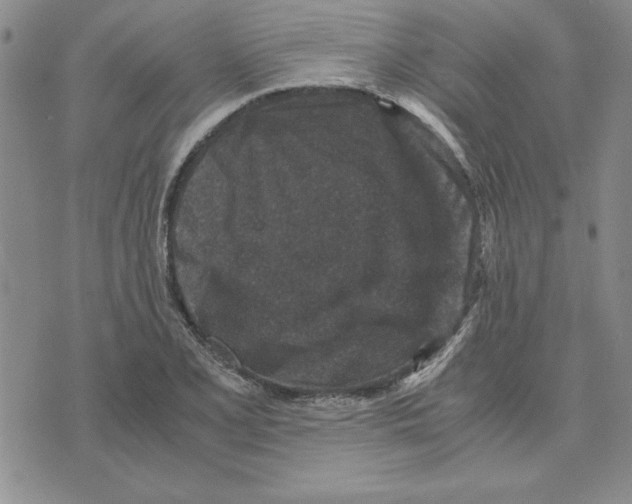 X0000075841077200610151539