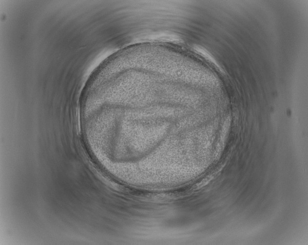 X0000075841079200610151539